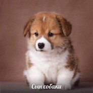 налогов.нет