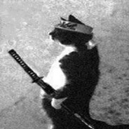 Ninja cat