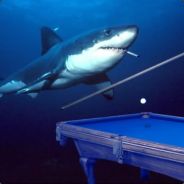 Pool Shark