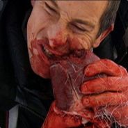 Beargrylls