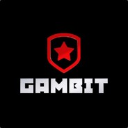 Gambit.BigNuM