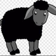 black sheep