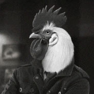 Alpha renegade