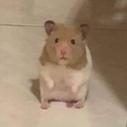 mmgv digo glu glu glu