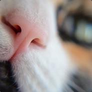 Ламповый|няш^,^
