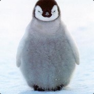 PO
