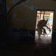 друг