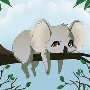 Koala e.e