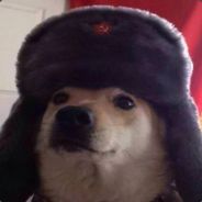 -G66