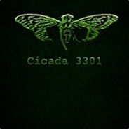 Cicada 3301