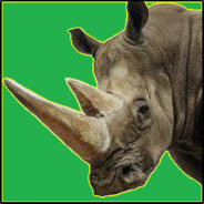 Rhino