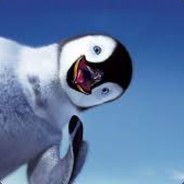 fant1k csgofast.com