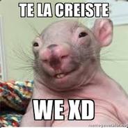 Te La Kreiste We XD