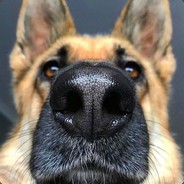 Sven