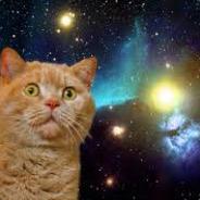 VP  ✪ Spacecat ✪