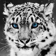 snowleopard