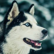 Dranikxd