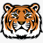 AlmightyTiGeR19 | Twitch