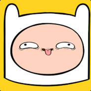 -FINN-