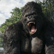 kingKONG