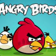 ANGRY BIRD