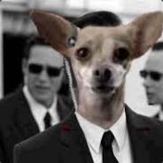 AgentK9