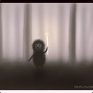 Hedgehog In The Mist