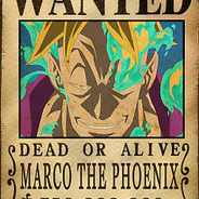 Marco The Phoenix