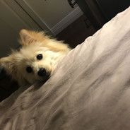 HOME BOI