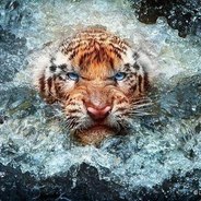 Tiger ;3