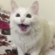 Pu