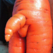 Морковкин хуй