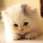 [w]P