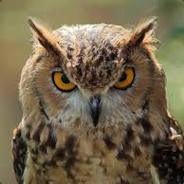 OwL-