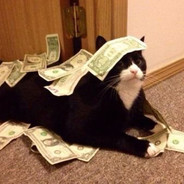The Wild Moneycat
