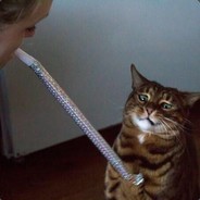 Meracle