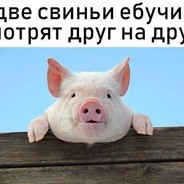 likeastranger