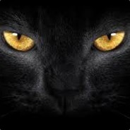 ◥▶_◀◤ Black PanTher