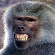 ✪ Baboon