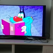 watching oggy and cockroaches