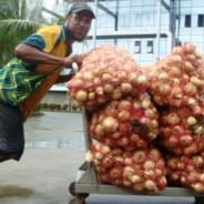 Buying Onions