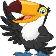 Toucan # LEKING