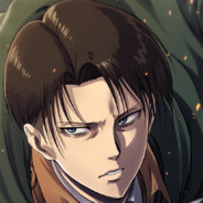 Captain Levi