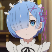 REM