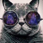 Meow Meow Meow