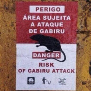 Risk of Gabiru Attack