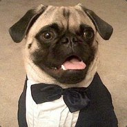 enemy.AdmiralPug