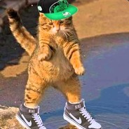 SWAG_cat