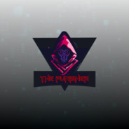 THEPUNISHERGodota2.comvvcsgo.com