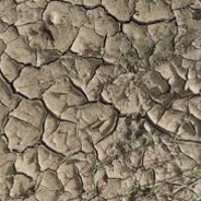 Dried Cracked Mud (Texture IV)